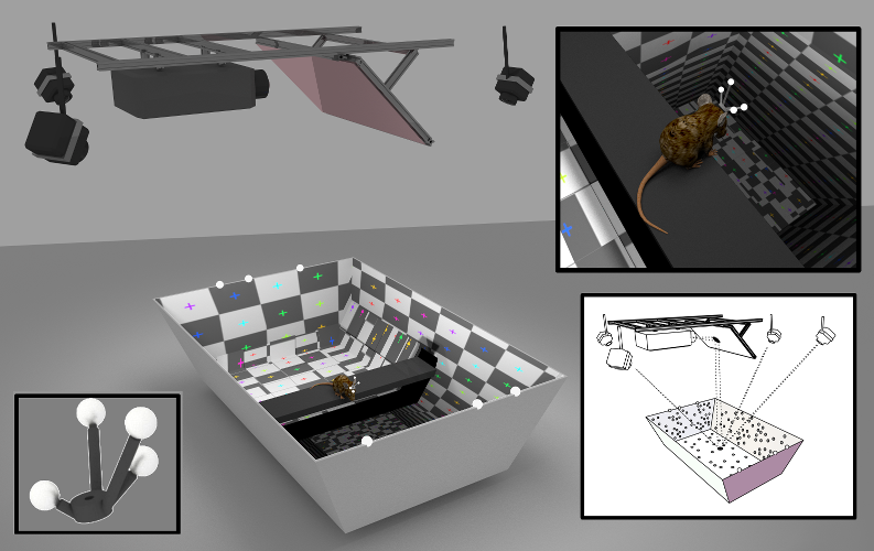 _images/finalvr_composite3_small.png